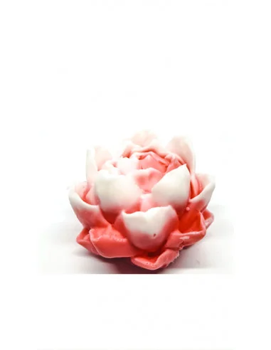 Jabón Nenufar - Rosa y Blanco