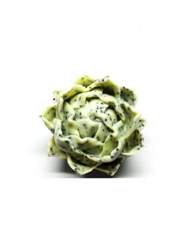 Jabón Nenufar - Verde con Motivos